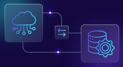 Cloud or On-Premise Usage Option